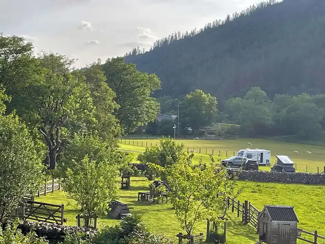 Evening view over Tŷ Cerrig's orchard and hen houses to caravans pitched along the dry-stone wall beneath the forested hillside